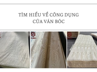 Tìm hiểu về công dụng của ván bóc