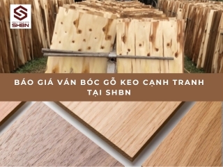 Báo giá ván bóc gỗ keo cạnh tranh tại SHBN