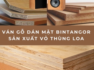 Ván Gỗ Dán Mặt Bintangor Chuyên Dùng Sản Xuất Vỏ Thùng Loa