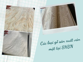 Các loại gỗ sản xuất ván mặt tại SHBN