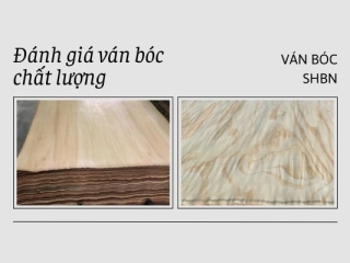 Ván bóc chất lượng | Ván bóc SHBN