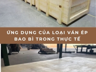 Ứng dụng của loại ván ép bao bì trong thực tế