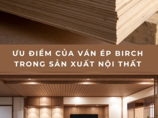 Ưu điểm của ván ép birch trong sản xuất nội thất