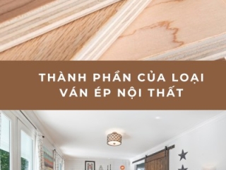 Thành Phần Của Loại Ván Ép Nội Thất Bao Gồm Những Gì?