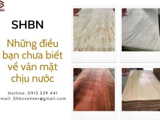 Những điều bạn chưa biết về ván mặt chịu nước