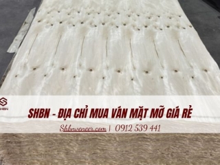 SHBN - Địa chỉ mua ván mặt Mỡ giá rẻ