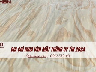 Địa chỉ mua ván mặt Thông uy tín 2024