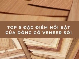 Top 5 Đặc Điểm Nổi Bật Của Dòng Gỗ Veneer Sồi