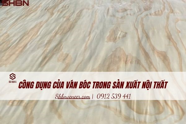 ứng dụng ván mặt trong nội thất