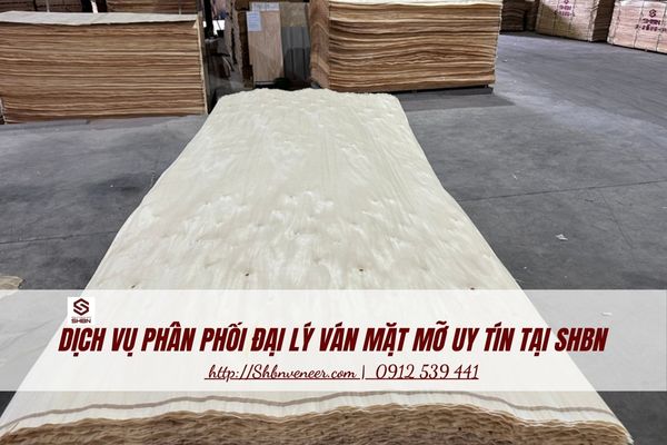 Dịch vụ phân phối đại lý ván mặt 