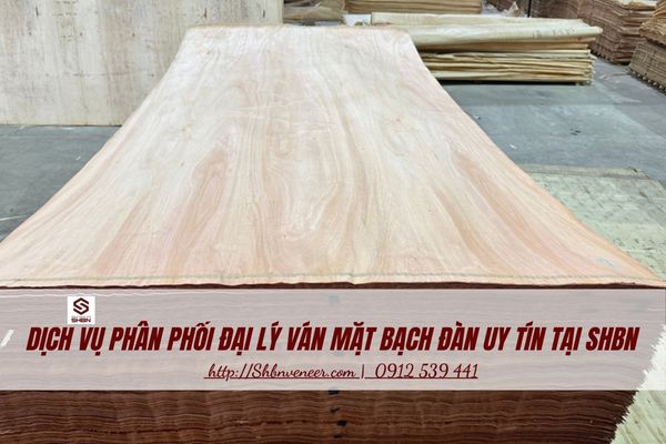 Dịch vụ phân phối đại lý ván mặt 