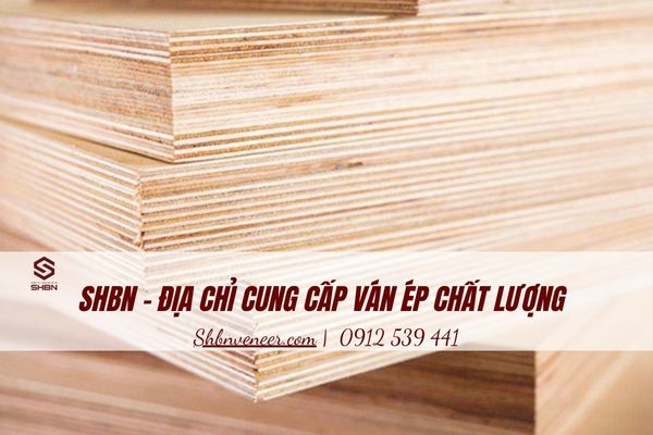 công ty sản xuất ván mặt