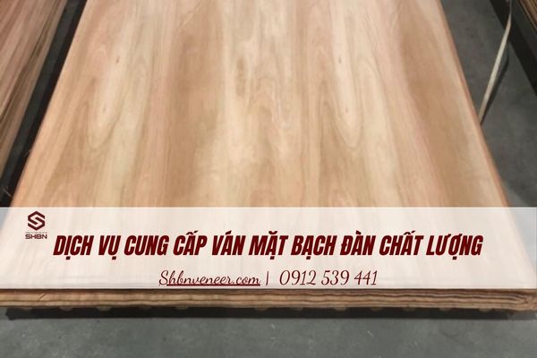 gỗ ván mặt Bạch Đàn chất lượng