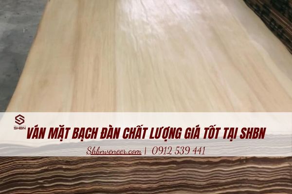 gỗ ván mặt Bạch Đàn chất lượng