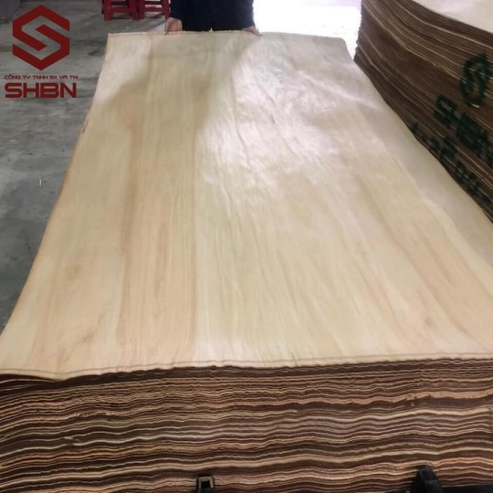 kỹ thuật bóc lạng veneer 