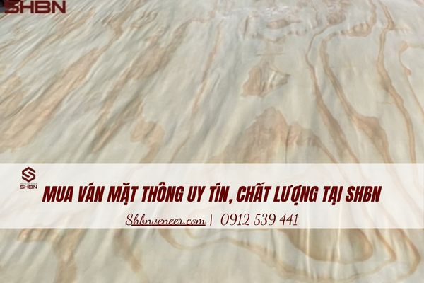 ván mặt Thông