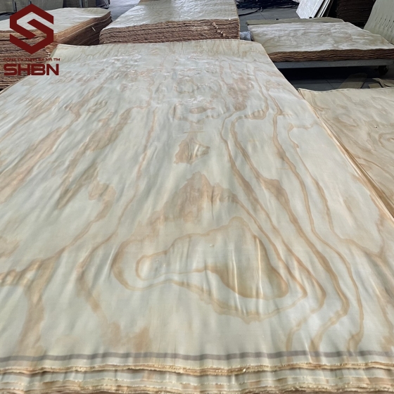 Veneer mặt Thông 