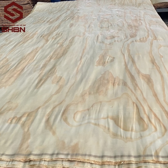 Veneer mặt Thông 