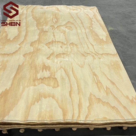 Veneer Thông 