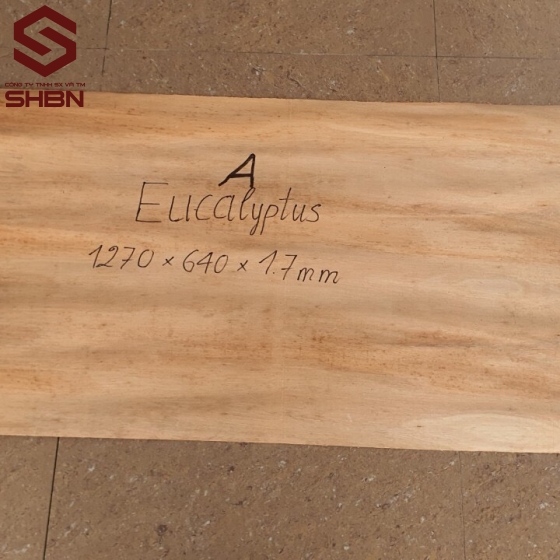 Ván ruột bạch đàn (Veneer core) 1